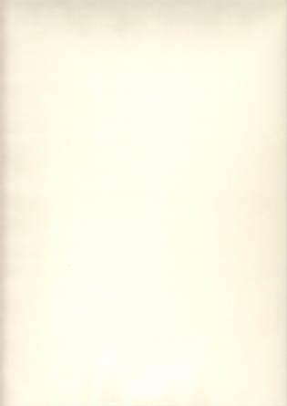 Константа Малярный  флизелин 65гр. фото 1